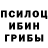 Галлюциногенные грибы Cubensis Pamir Kalyiev