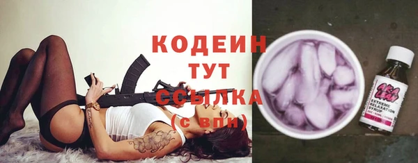 гашик Дмитров