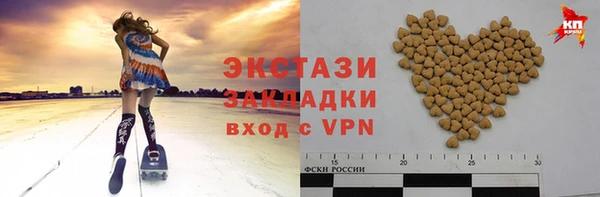 гашик Дмитров
