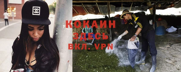 гашик Дмитров